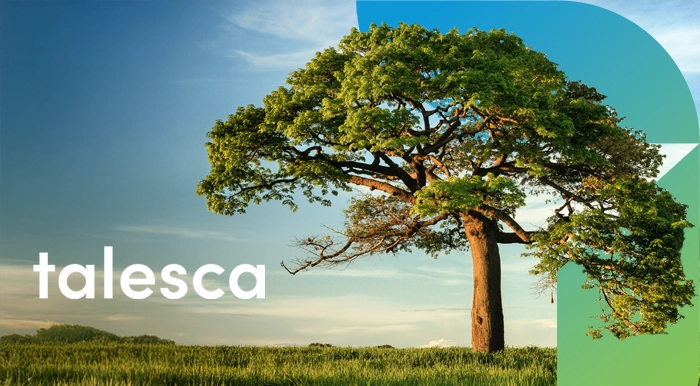 Talesca Brand Identity